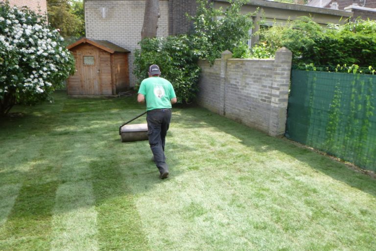 Remplacement du gazon dans un petit jardin