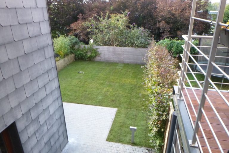 réaménagement d'un petit jardin de ville