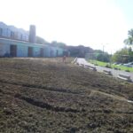Enlèvement de plantes invasives et réfection de la pelouse de la piscine olympique de Seraing....