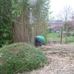 Nettoyage d'un jardin qui était planté de bambous à ricines traçantes.

La travail fut très com...