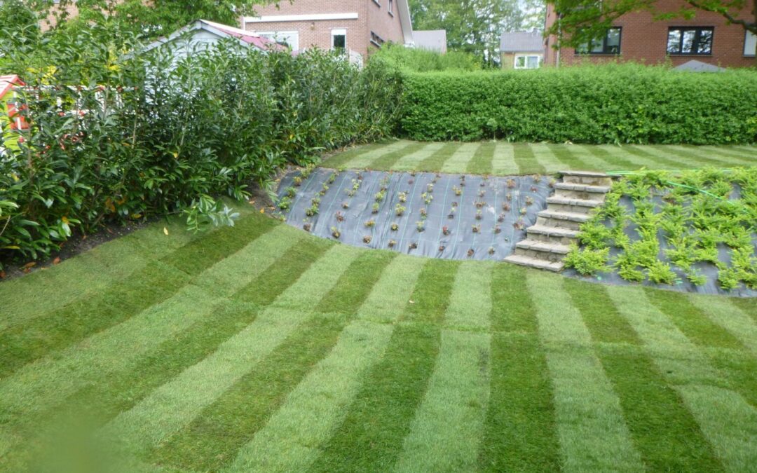 Transformation Complète du Jardin – Seraing