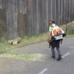 Dégagement d'un Haut Mur de Soutien - Soliverdi - Liège - Espace verts