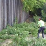 Dégagement d'un Haut Mur de Soutien - Soliverdi - Liège - Espace verts